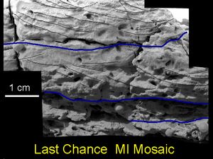 「라스트 찬스 록」의 사교 총리