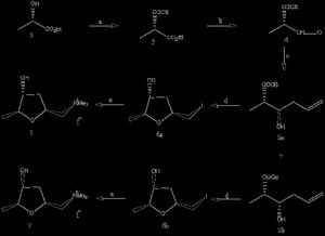 (+)-무스카린 합성 방식