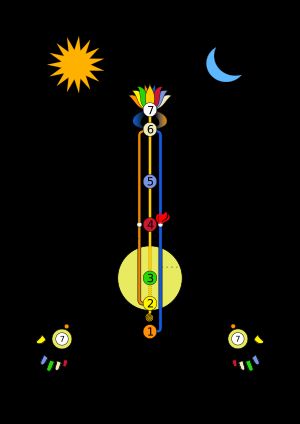 인도 철학의 미세 신체에 대한 단순화된 그림으로, 몸의 수직으로 흐르는 세 개의 주요 나디 (채널): 이다(B), 수슘나(C), 핑갈라(D)를 보여준다.