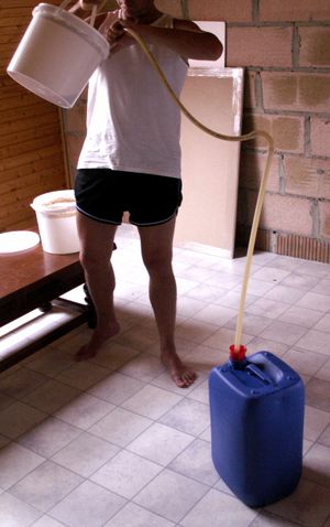 첫 번째 맥주 발효 후 맥주를 사이펀 처리