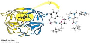프로테아제와 인디나비르의 구조