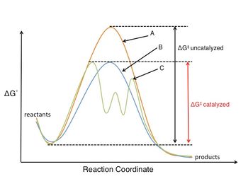 반응 좌표 에너지 그림 비촉매 반응(주황색 곡선 A)과 촉매 반응(파란색 곡선 B)을 나타낸다. 촉매 반응은 활성화 에너지가 낮다. 갈색 곡선 C는 다른 반응 메커니즘으로 진행되는 복잡한 반응 경로를 나타내며, 두 개의 반응성 중간체를 포함한다.