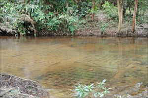 크발 스피안의 강바닥에 새겨진 링가들