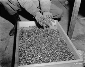 경제부 장관이었던 발터 푼크는 재무장을 가속화했고, 나치 친위대(SS)를 위해 부헨발트 강제 수용소 수감자들에게서 몰수한 금 반지를 국가은행에 예치했다.