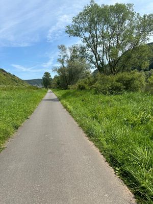 코헴 근처의 모젤 자전거 도로