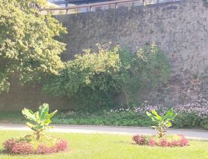 츠빙어 공원의 바나나 나무가 있는 중세 도시 성벽