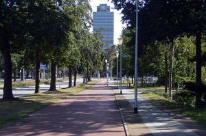 라드바우트 대학교 네이메헌