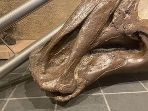 P. walkeri의 부리와 이빨 근접 촬영