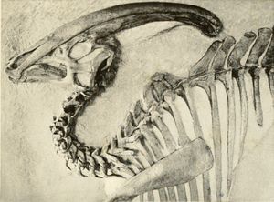 P. walkeri의 척추에 있는 노치