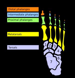 위에서 본 모습