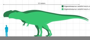 모식 표본(연두색)과 할당된 표본(진녹색)의 추정 크기 비교