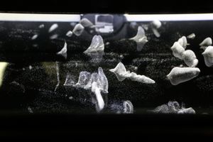 아이소프로필 알코올은 안개 상자에 사용되어 과포화된 증기층을 형성하고, 복사 입자에 의해 응축될 수 있다.