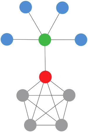 그림으로 표현된 네트워크에서 녹색 노드와 빨간색 노드는 서로 이웃을 공유하지 않기 때문에 가장 유사하지 않다. 따라서 녹색 노드는 회색 노드보다 빨간색 노드의 중심성에 더 크게 기여한다. 빨간색 노드는 녹색 노드를 통해서만 파란색 노드에 접근할 수 있고, 회색 노드는 중간 노드 없이 각 회색 노드에 직접 접근할 수 있으므로 빨간색 노드에 대해 중복되기 때문이다.