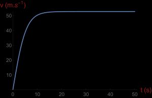 종단 속도에 도달하는 스카이다이버의 속도 대 시간 그래프.