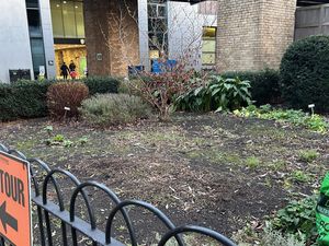 TCD의 현대적인 약초 정원(2011년 제작), Pearse St.에서