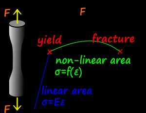 장력이 가해진 표본의 기본적인 정역학적 반응