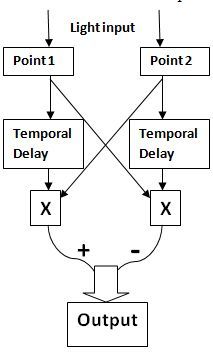 라이하르트 모델