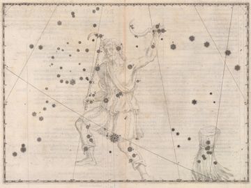 요한 바이어 『우라노메트리아』(1603년)에 그려진 목동자리. 현재의 머리털자리의 별은 그림 오른쪽 아래에 짚단의 묶음으로 그려져 있다.