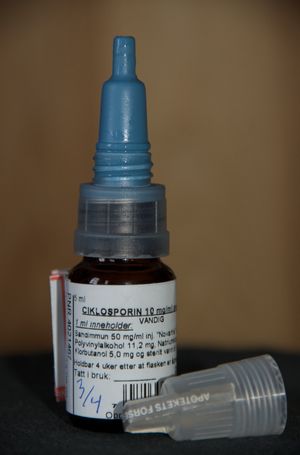 노르웨이 안약의 예