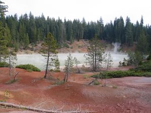 캘리포니아주 Lassen Volcanic National Park에 위치한 Boiling Springs Lake는 2012년 최초의 자연 발생 키메라 바이러스가 발견된 곳이다.