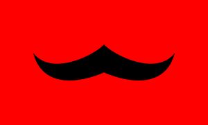 전후 보르두리아 국기 (1956년 카르큘러스 사건에서)