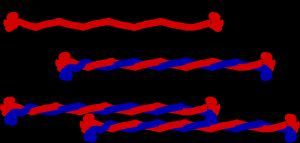 중간 섬유 구조