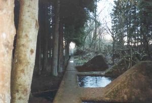 생물 서식지 사슬로서의 지크프리트 선