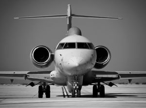 센티넬의 정면 모습