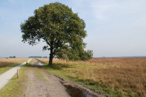 드윙엘데르벨트 국립공원