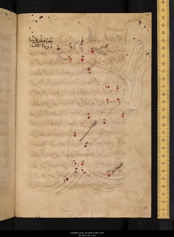 알 수피의 『항성서』에 그려진 고래자리. 반수반어의 괴물로 묘사되어 있다.