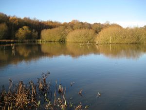 엡솜 커먼의 그레이트 폰드