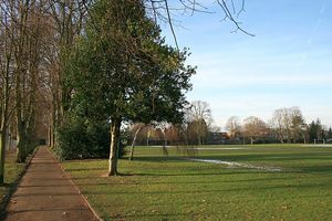 알렉산드라 레크리에이션 그라운드