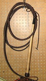 막대 끝에 밧줄 채찍