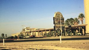 1957년 플라밍고