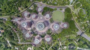 수퍼트리 그로브, 싱가포르