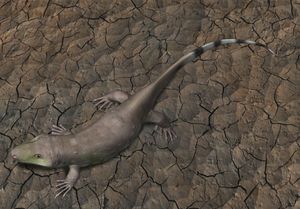 발전된 파충류형 양서류였던 트세아자이아.