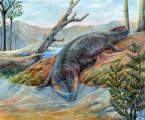 초기 어룡류 미치류