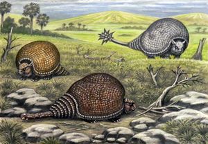 현생 글립토돈트인 글립토돈 (노란색), 도에디쿠루스 (회색), 파노크투스 (갈색)