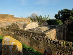 마리니드 하맘(14세기)