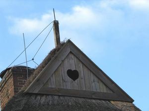 둥지를 짓기 위해 흰올빼미가 다락방에 갈 수 있도록 한 올빼미용 구멍. 독일 북부