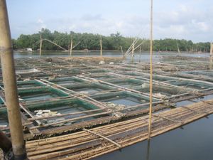록사스 시의 어류 양식장