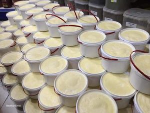 에르빌 요구르트