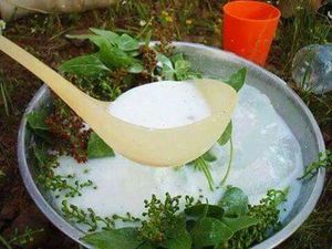 쿠르드식 요구르트 음료(데우/마스타우)