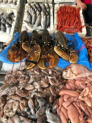 카사블랑카의 중앙 시장에서 판매되는 해산물