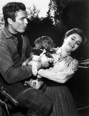 헤이스와 타이 하딘, 1962