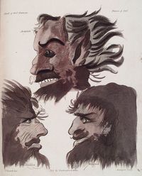 프란시스 바렛의 『마법사』에 나오는 악마의 머리 그림. 중앙 상단이 아스타로트