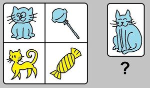 다중 분류 카드 분류 과제