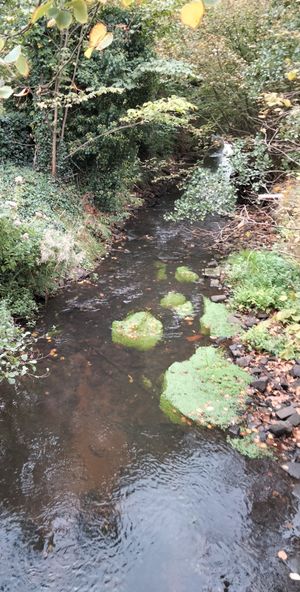 Marktstrasse에 있는 졸타우 시내 중심부의 졸타우 강