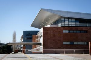 포지티부 대학교