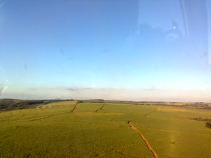 시아노르치의 사탕수수